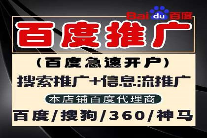 行业领先SEM托管代运营案例